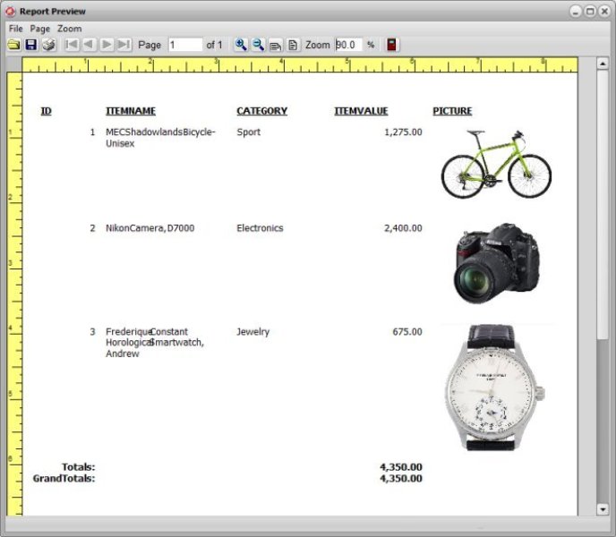 Home Inventory Software for Windows PCs report
